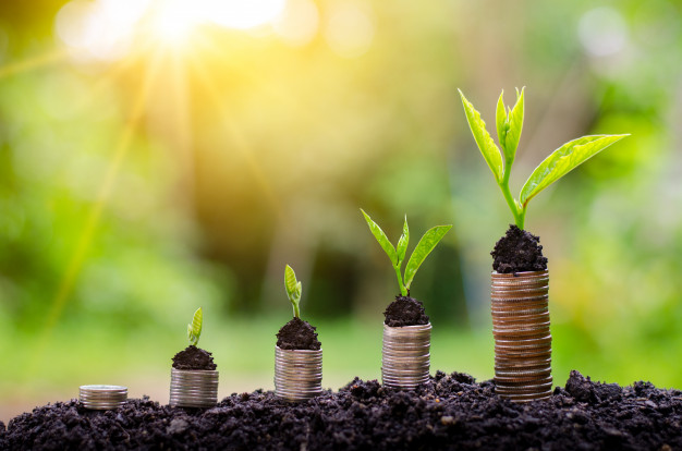 «Jasyl» jobalarǵa jol ashyq