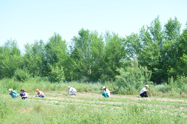 Jambyl oblysy: 34 tártip buzýshylyq anyqtalǵan