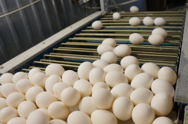 10 jyl sýbsıdııalanǵan salanyń jyry