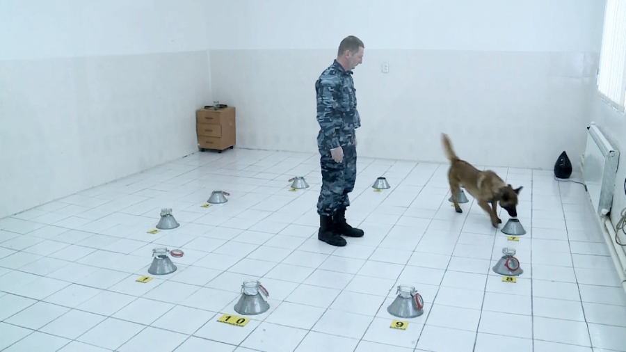 Mańǵystaýda jyl basynan beri  esirtkige qatysty 70 qylmys anyqtaldy