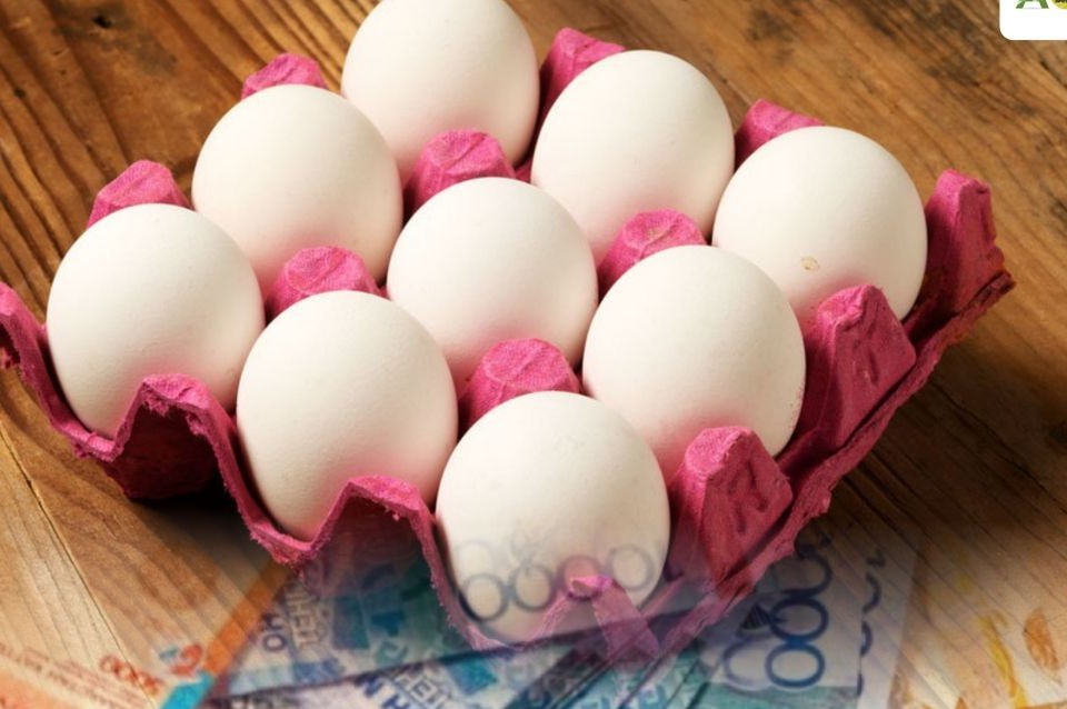 AShM jumyrtqa óndirýdi sýbsıdııalaýǵa baılanysty túsinikteme berdi