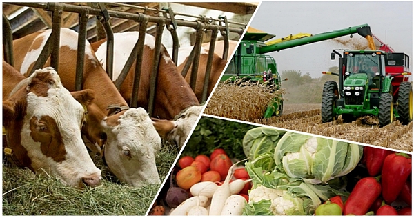 Ǵabıt Syzdyqbekov Serbııa kooperatıvtik odaǵynyń prezıdentimen kezdesti