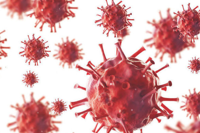 Italııa bıligi koronavırýspen kúres sharalaryn aıqyndaıtyn qaýly qabyldady