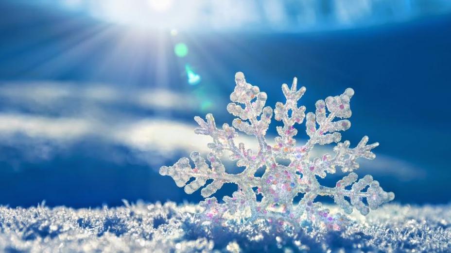 Aldaǵy kúnderi aýa raıy kúrt jylynady