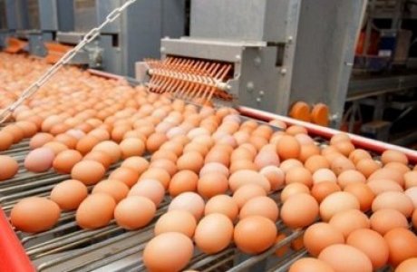 10 jyl sýbsıdııalanǵan salanyń jyry