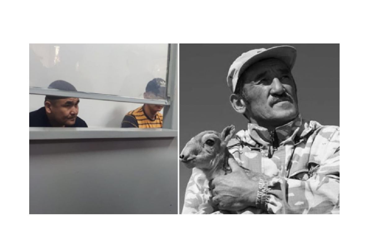 Kıiktiń kıesi jibermeıdi