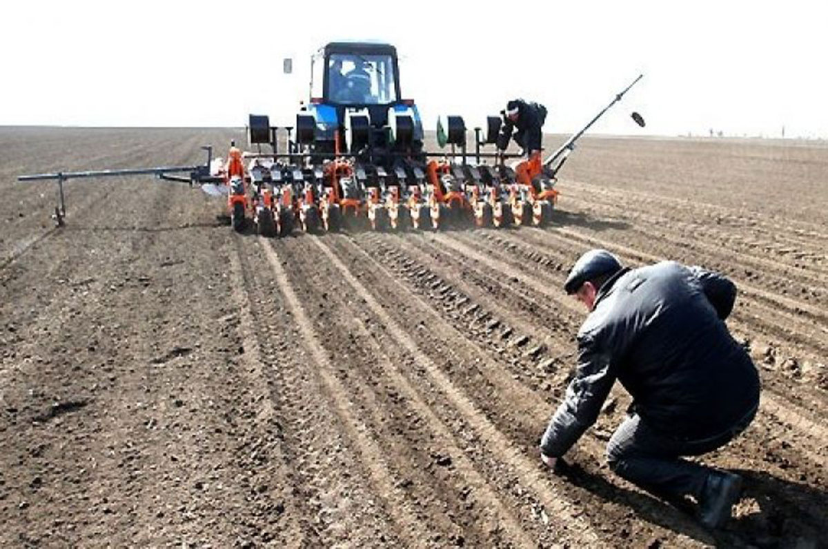 Túrkistan: 154 sharýa qojalyǵy eki ret ónim alýdy josparlap otyr