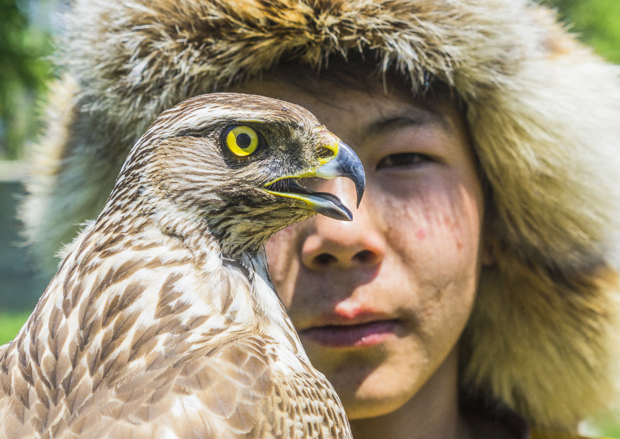 Oralda Meıirbek Tájquranovtyń «Mekenim – Qazaqstan» atty fotokórmesi ashyldy