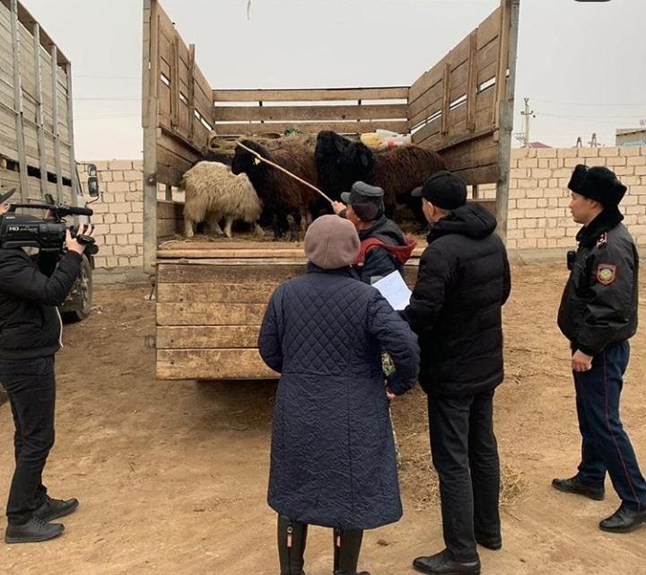 Mańǵystaýda mal urlaǵandar ustaldy