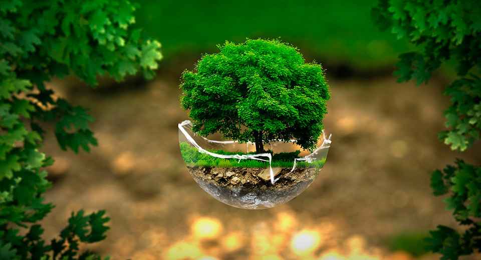 Mańǵystaýda tabıǵat paıdalanýshylarǵa túsindirý jumystary júrgizildi