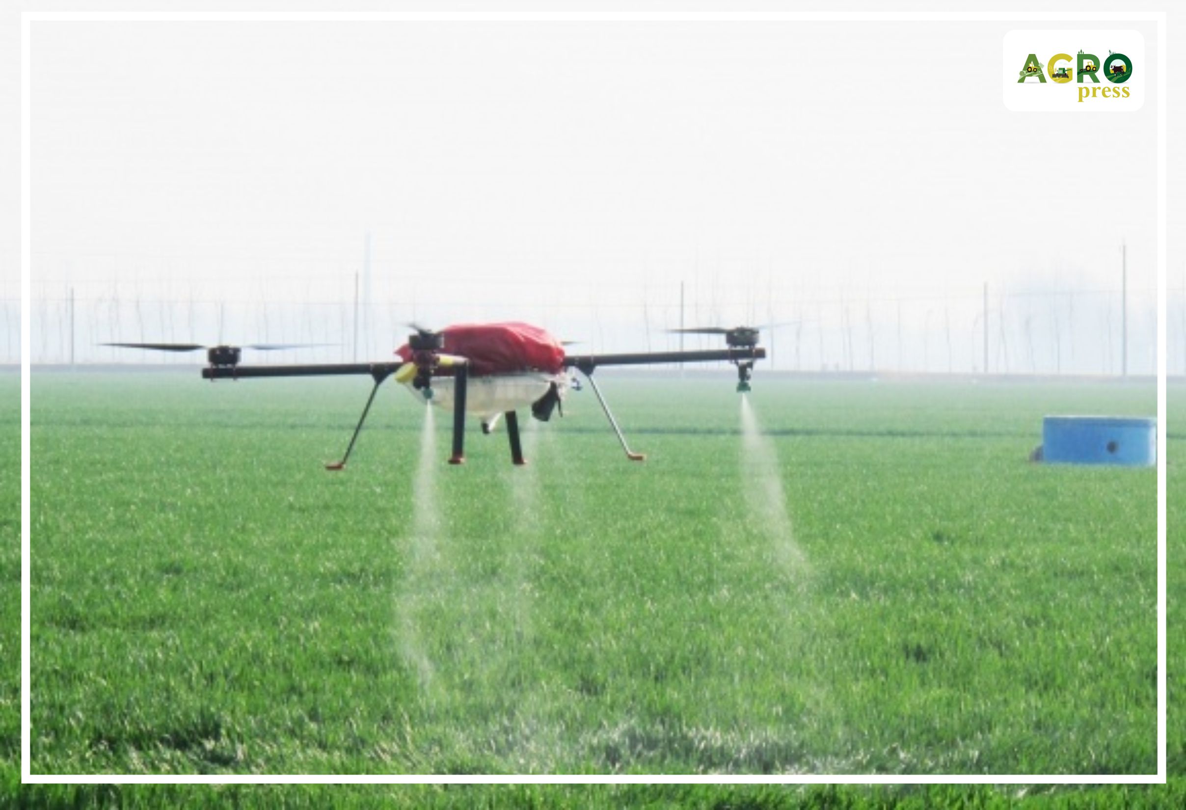 Bıyl asa zııandy organızmder 3,7 mln ga alqapqa taralýy múmkin