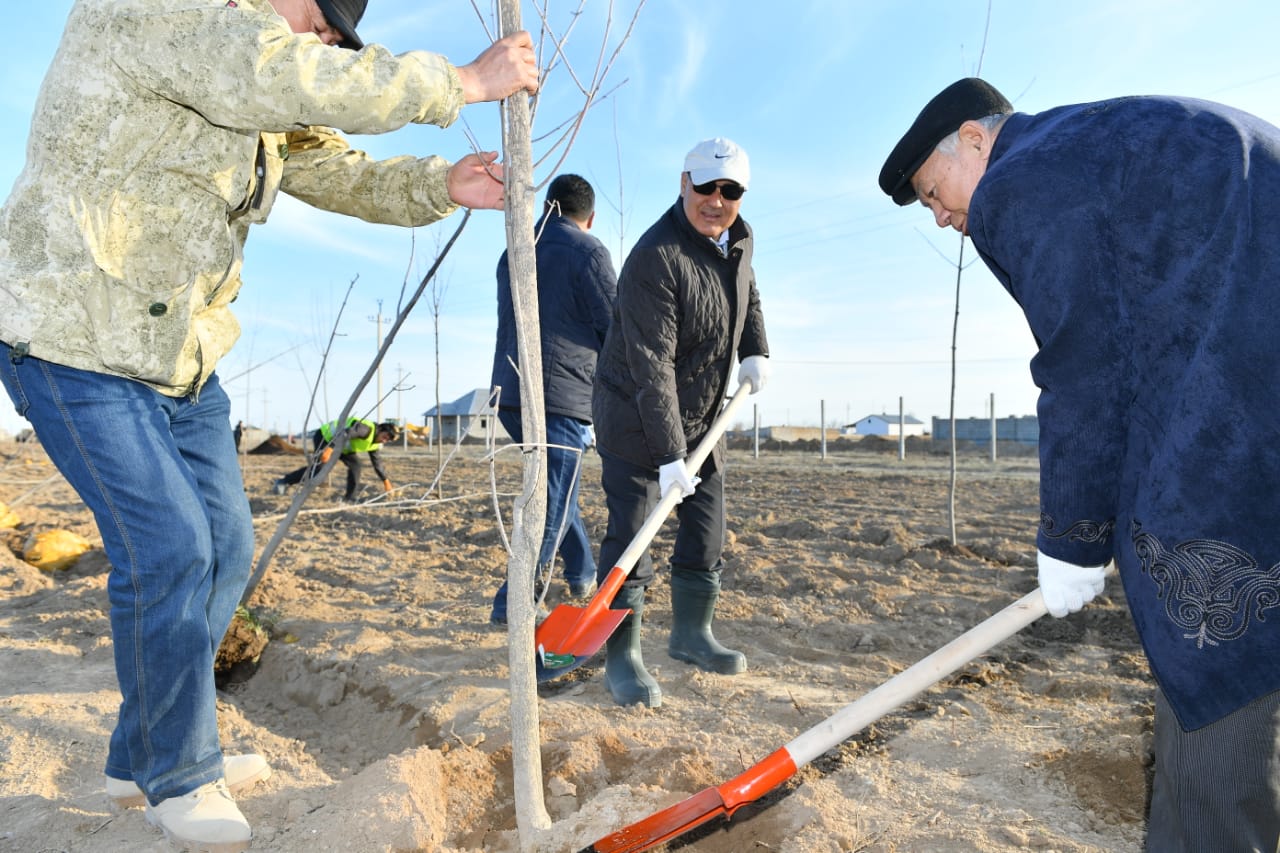 О́mirzaq Shókeev: Jasyl beldeý Túrkistannyń tabıǵı tynysyna aınalady
