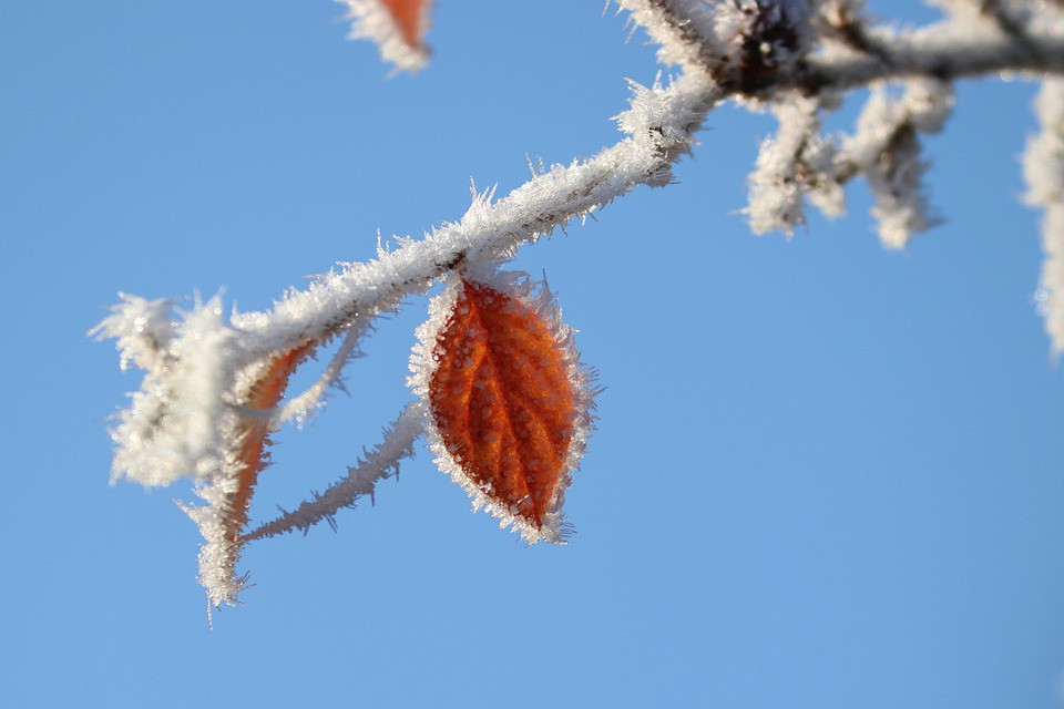 Elordada jańbyr, qar, kóktaıǵaq bolady