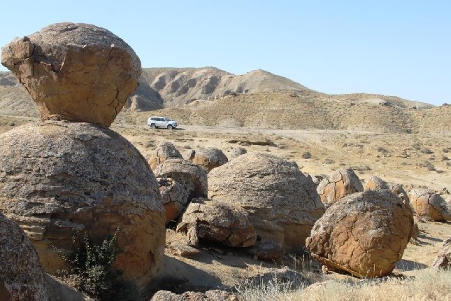 Gıd-ekskýrsovod daıyndaý úshin 30 maman tildik kýrstan ótkiziledi