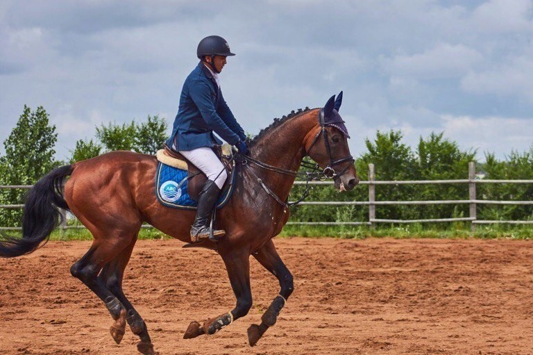 Almatyda at sportynan «Jeńis kýbogy» ótip jatyr