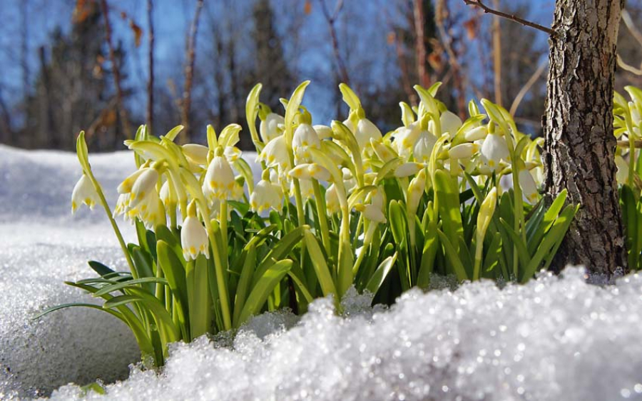 17-19 naýryzǵa arnalǵan aýa raıy boljamy