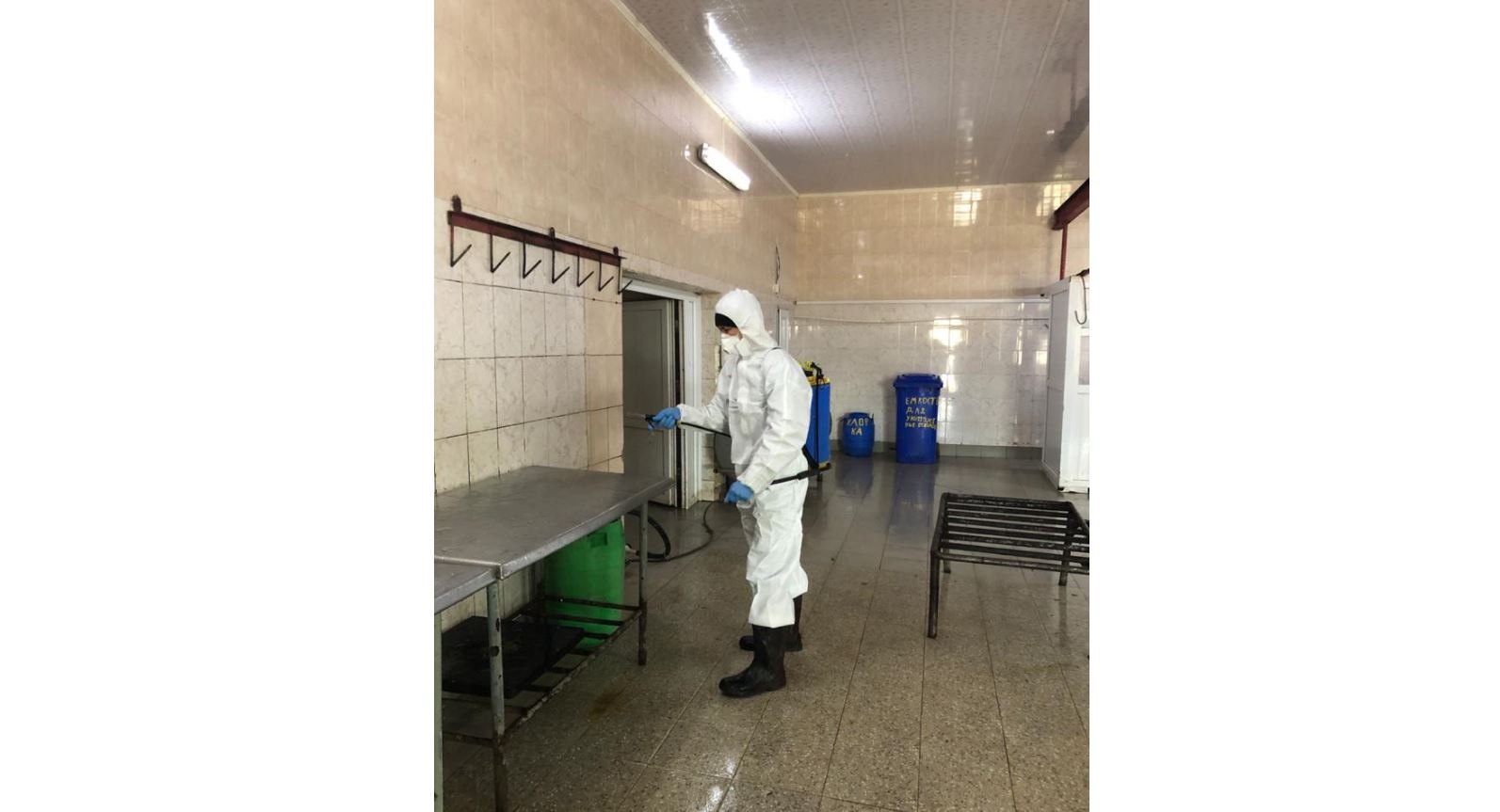 Aqtaýda mal soıý pýnktteri kúnine 2 ret dezınfeksııalanýda