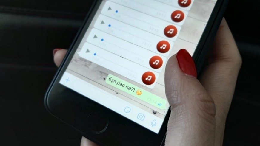 Qostanaı oblysy: jalǵan aqparat taratqandar jaýapqa tartyldy