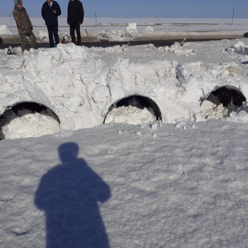 Qarǵyn sý áli kelgen joq