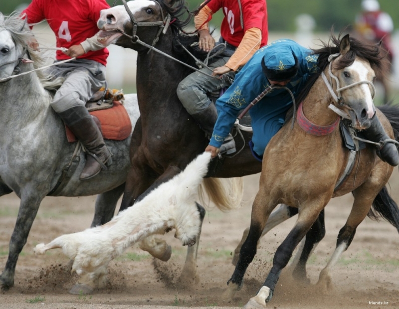 Shamalǵan aýylynda tótenshe jaǵdaı kezinde kókpar uıymdastyrǵandar jaýapqa tartyldy