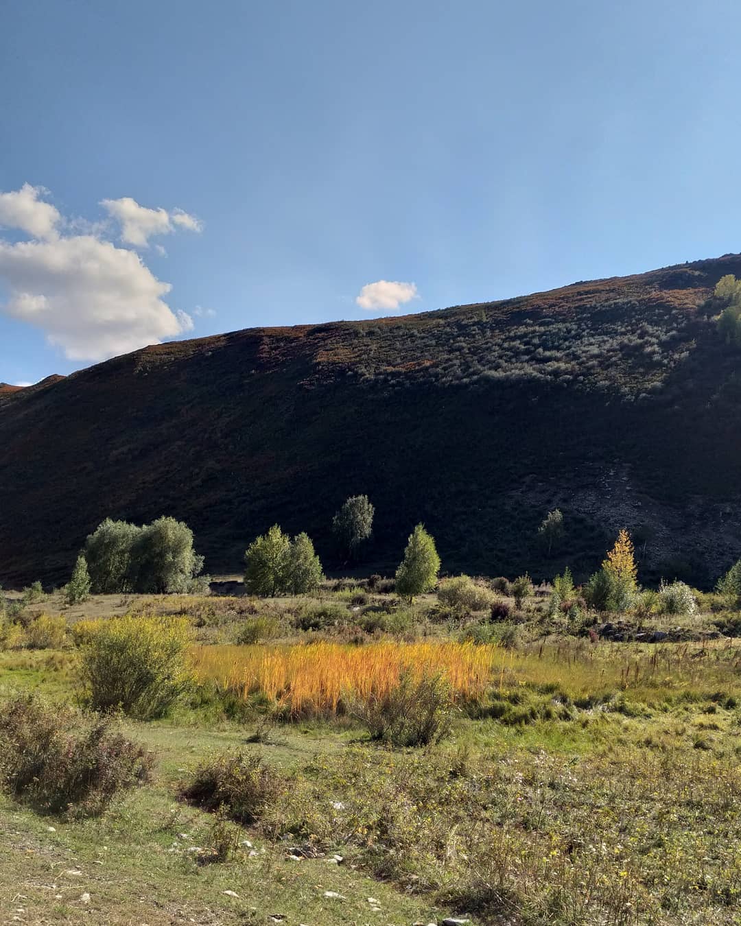 Shyǵystaǵy jer-sý ataýlary: Maıemer týraly ańyz   