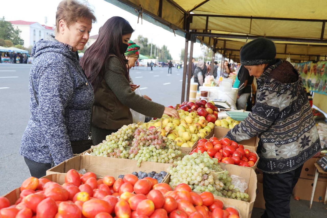 Jambyl oblysynda 63 myń tonna azyq-túlik qory bar