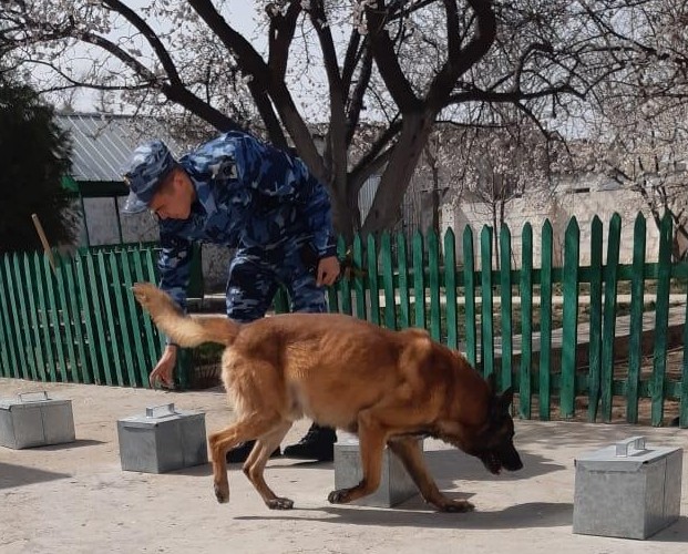 Mańǵystaýda mereke kúnderi 5 esirtki qylmysy tirkeldi