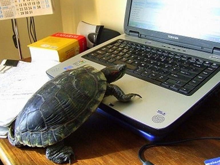 Batys Qazaqstanda 120 eldi mekende ınternet nashar