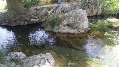 Tamdy týraly tolǵam