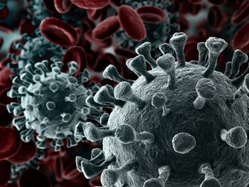 «Qaraǵandyda karantın jarııalaýǵa negiz joq»