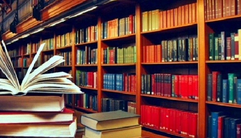 Jazylǵan jaıdyń jalǵasy: Kitaphanashy men medbıkeniń máselesin kim sheshedi?