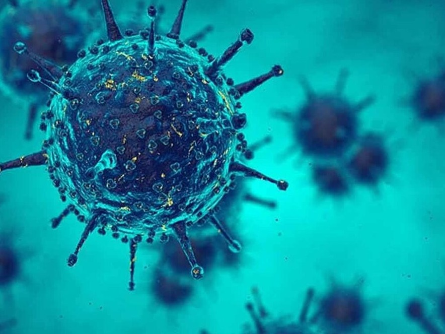 Koronavırýs qaıdan paıda bolǵan?