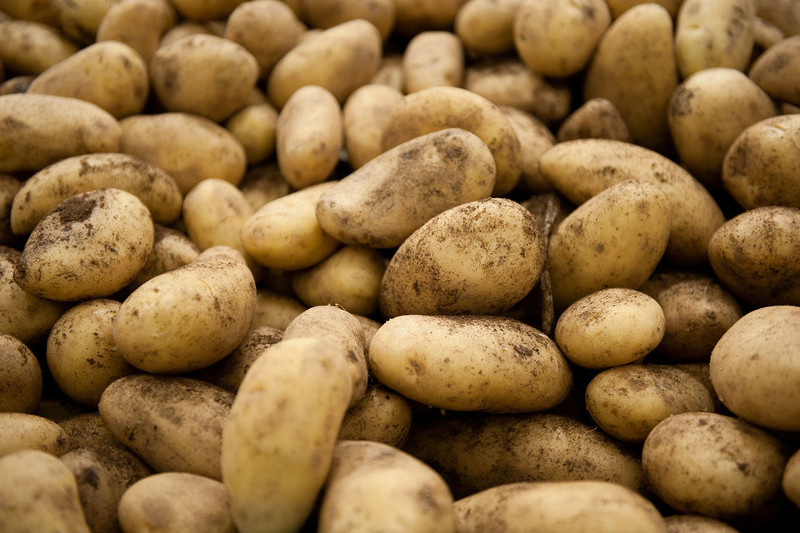 175 tonna ónim el aýmaǵyna kirgizilmedi