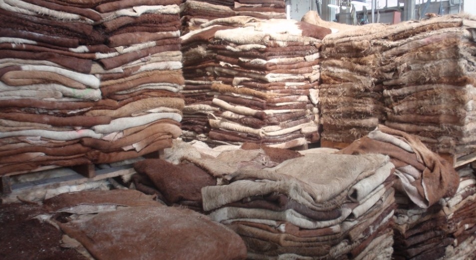 Teri óndirisi turalap tur