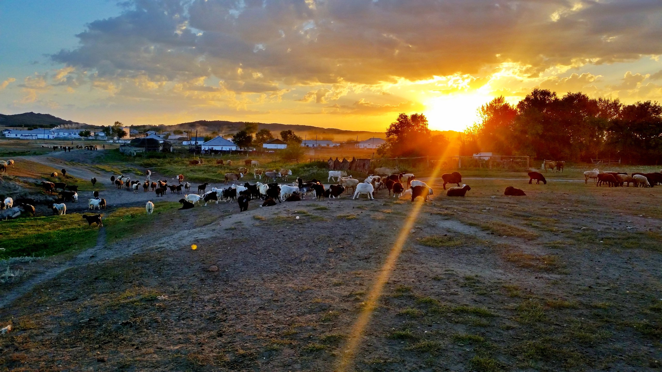 Pavlodar oblysynda 14 aýyldy ınternetke qosýǵa múmkindik joq