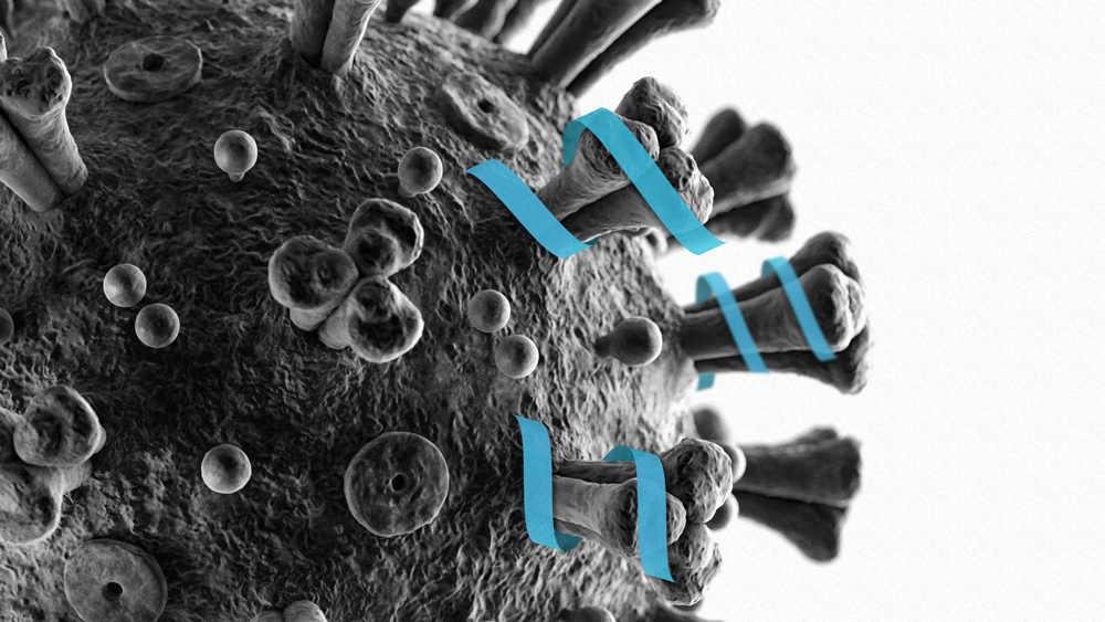 MIT ǵalymdary Covid-19 dárisiniń úlgisin ázirledi