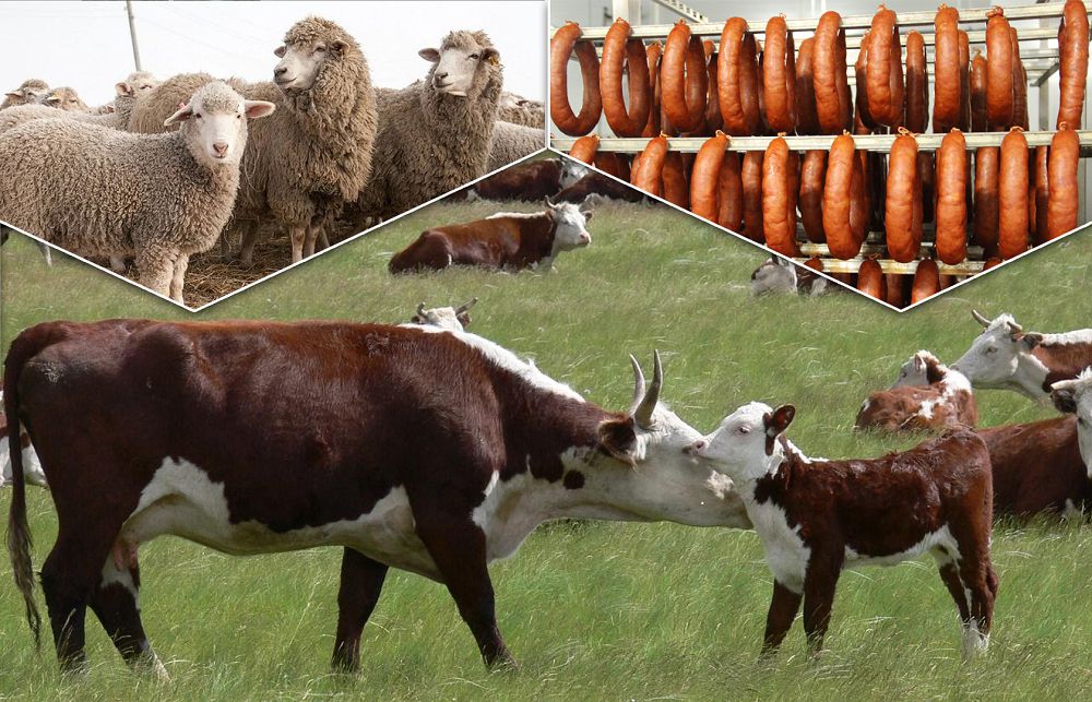 Tórt túlik kóbeıse, toqshylyq keledi