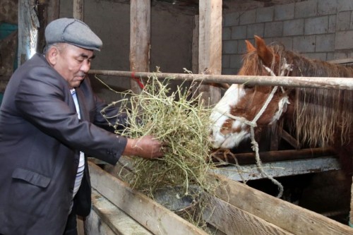 Jambyl oblysynda aýyl turǵyndary nesıe alyp, mal baǵýda