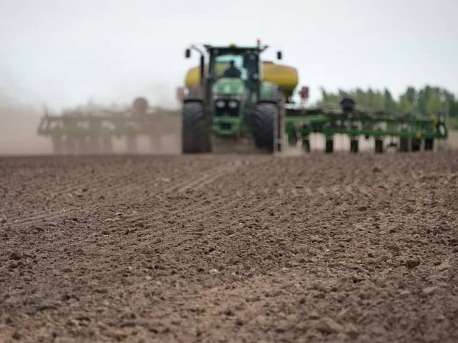 Pavlodar oblysynda dándi daqyldar egý mamyrdyń 15-nen keıin bastalady