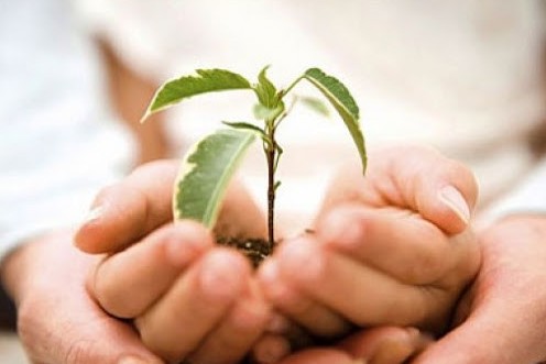 Aqmoladan Elordaǵa «Jyly júrek» kerýeni attandy