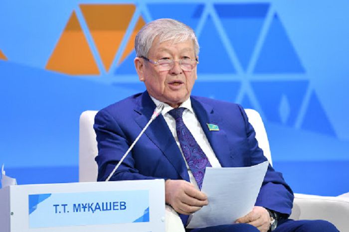 Senat: Shaǵyn jáne orta bıznesti qoldaý tapsyryldy