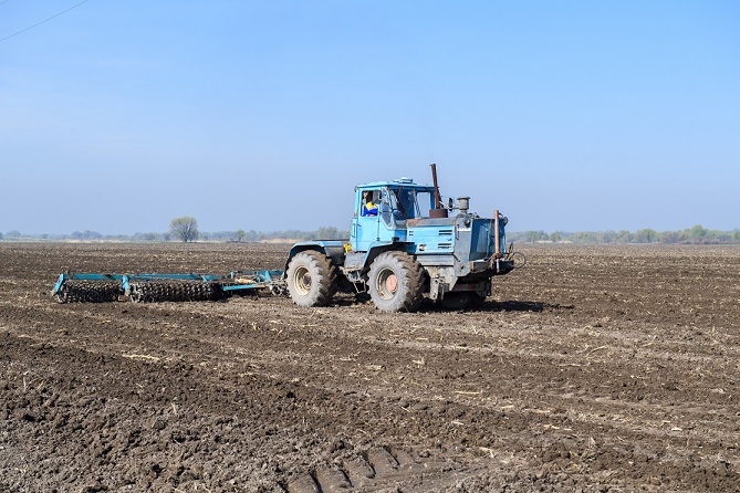 Jetisýdaǵy egistik alqaby 966,5 myń gektarǵa ulǵaıdy