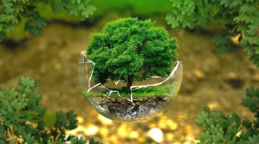 Ekologııa mınıstrligi mektep oqýshylary arasynda baıqaý jarııalady