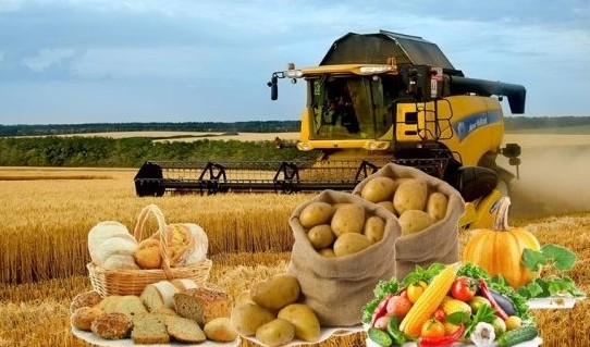 Agroónerkásip keshenine  173 mlrd teńge bólinedi