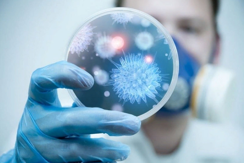 Infeksıonıst-professor: Zerthanalar qorytyndysyna kúmánmen qaraımyn