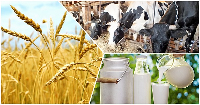 Aqmoladaǵy kóktemgi qarbalas