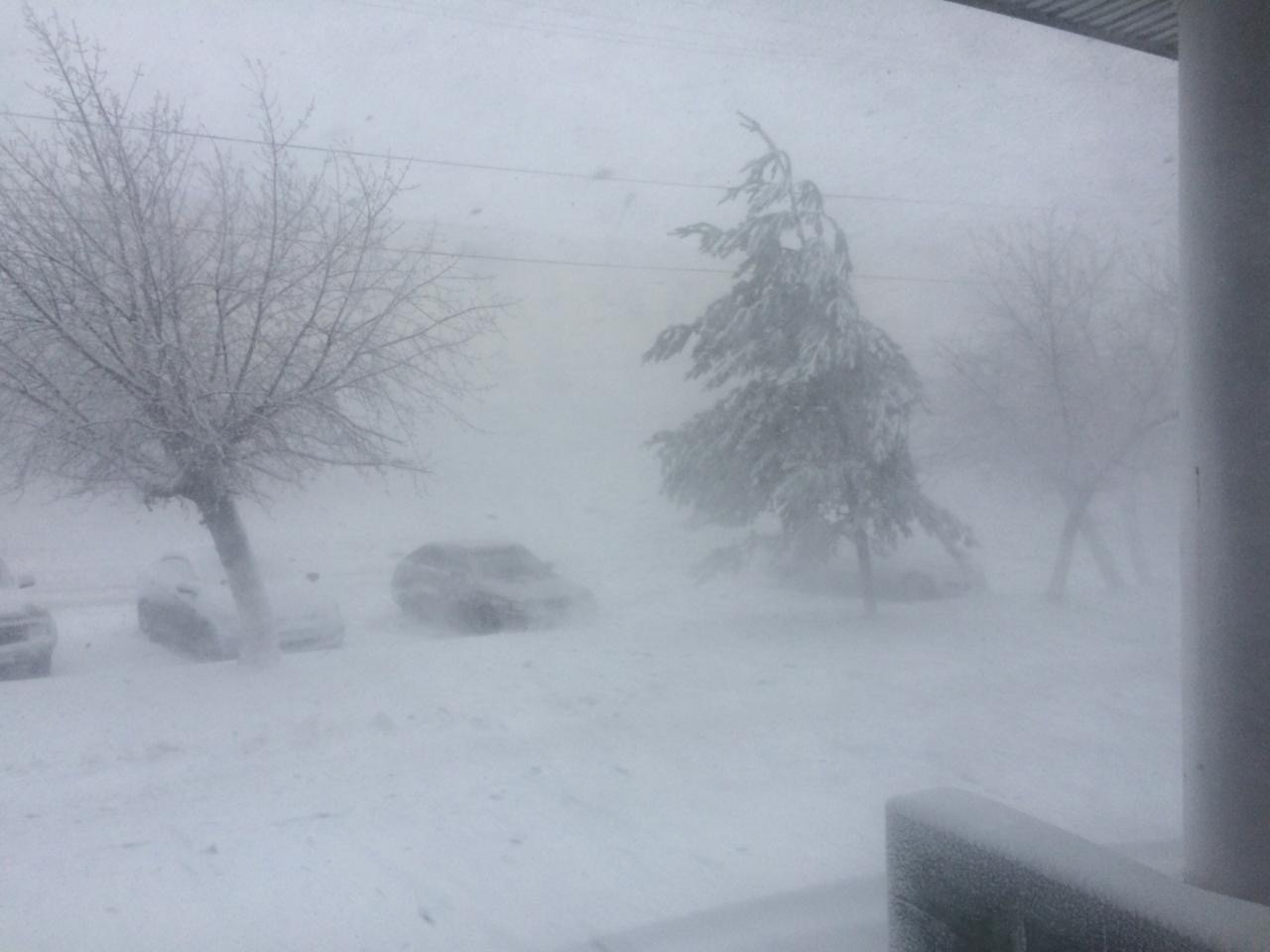 Qostanaı oblysynda qarly borannyń saldarynan kólik joldary jabyldy