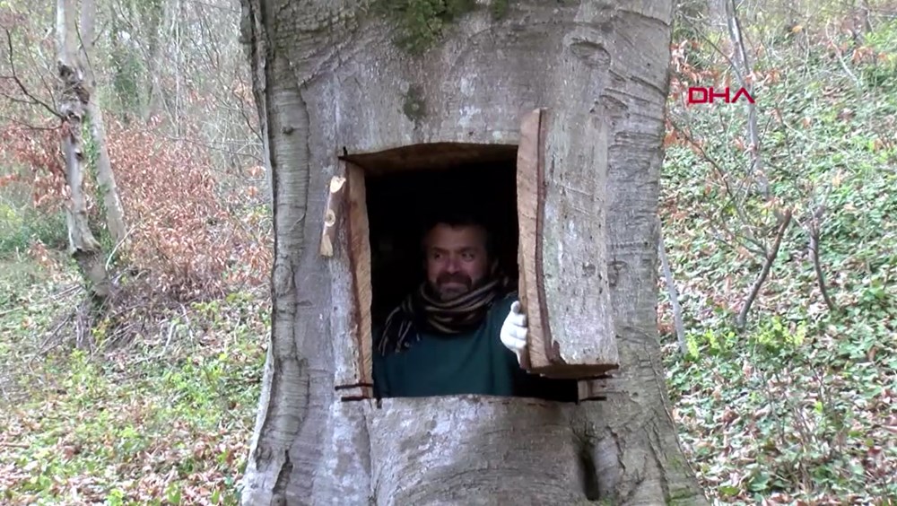 Koronavırýstan qashyp, aǵashqa tyǵyldy