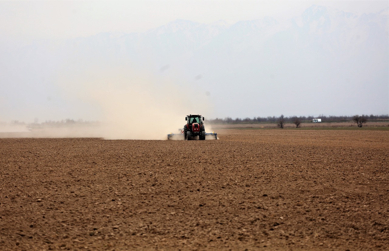 Kóktemgi dala jumystaryna daıyndyq qandaı?