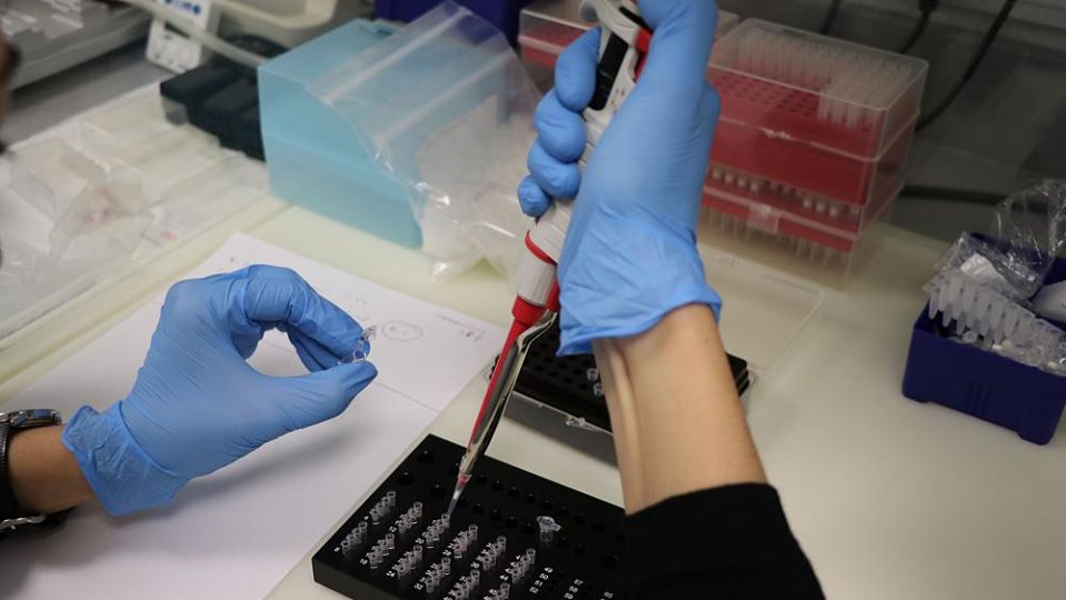 Elimizde taǵy 10 adam koronavırýs indetinen emdelip shyqty